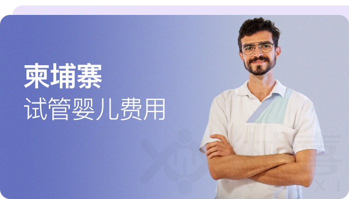 柬埔寨試管嬰兒費用